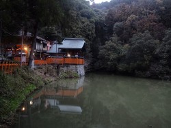 8 - Fushimi Inari- Kioto | ViajeTerrenal.com