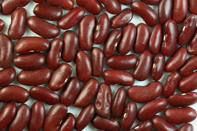 kidney-bean