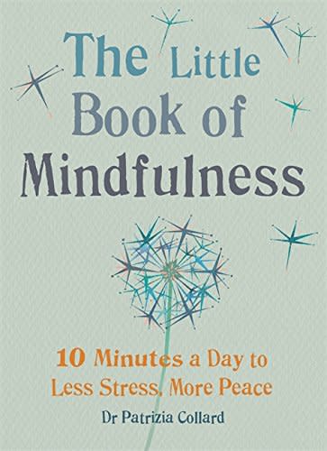 book mindfulness