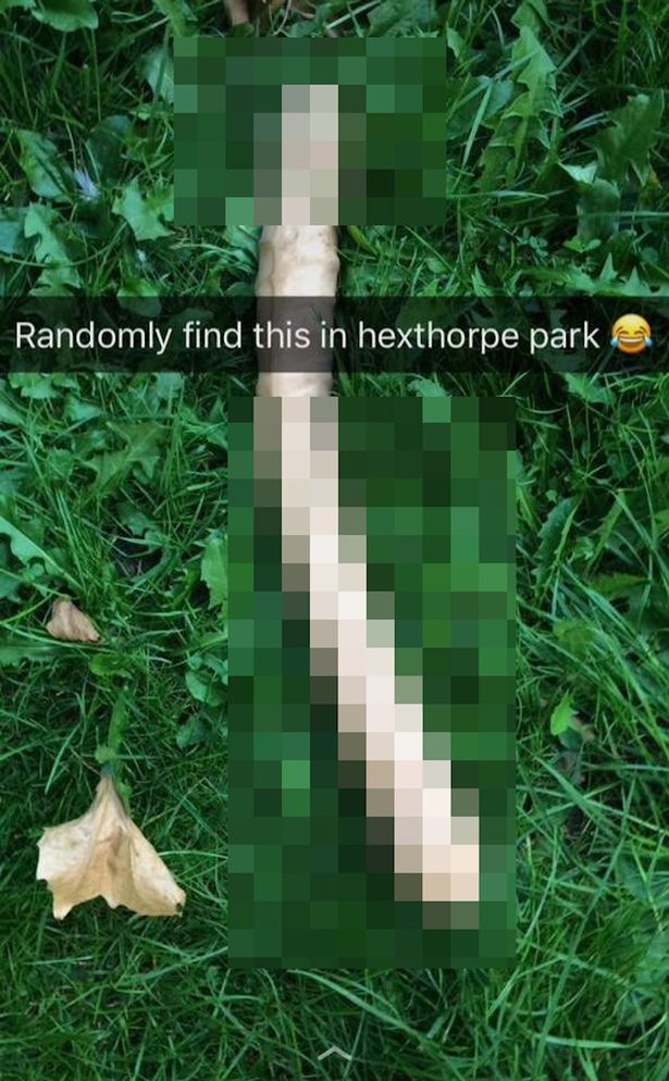 Double-Ended Dildo In Grass