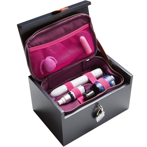 sex toy storage box with sex toys inside