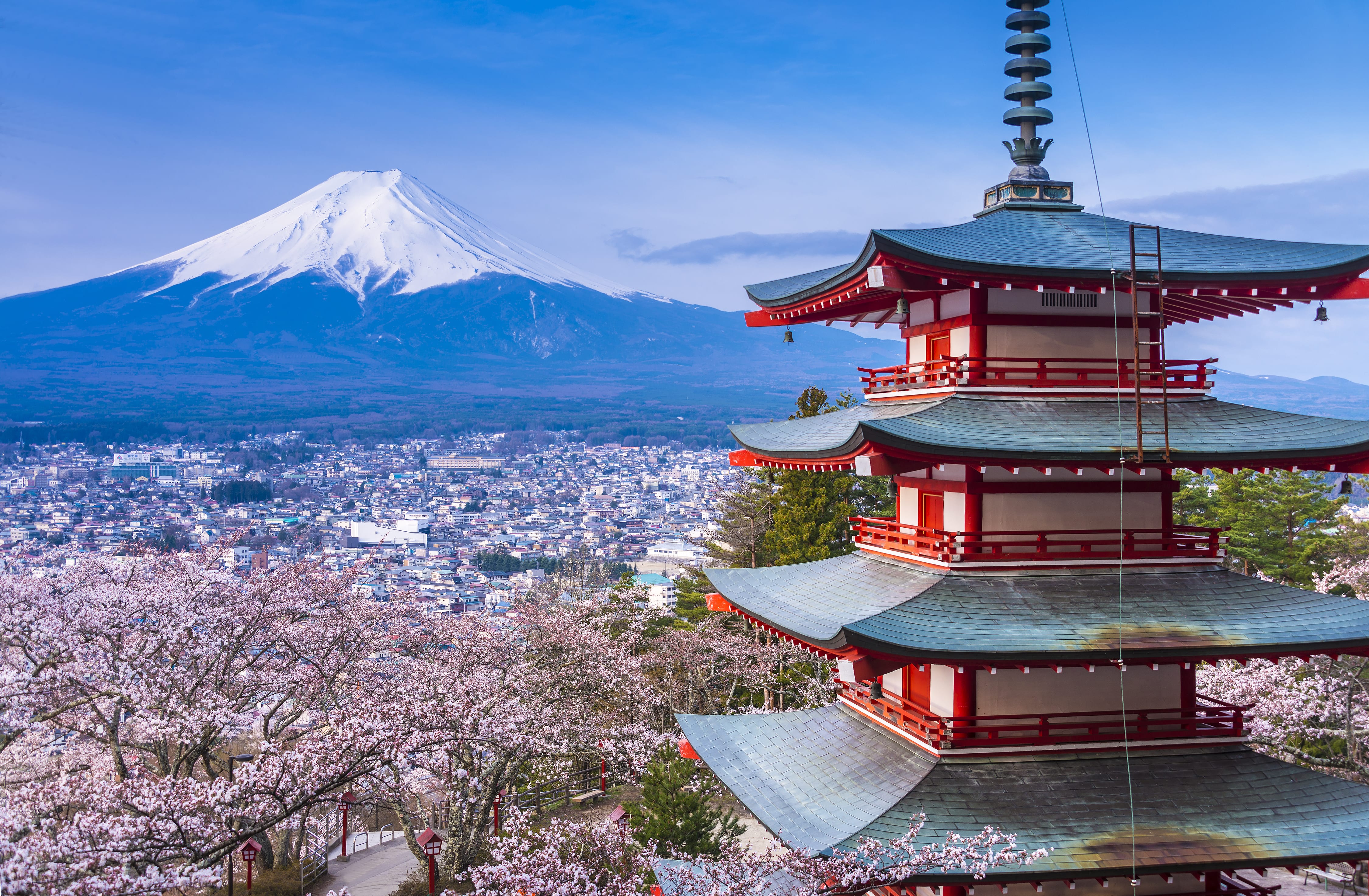 Family Holidays to Japan - Stubborn Mule Travel - Family Specialists