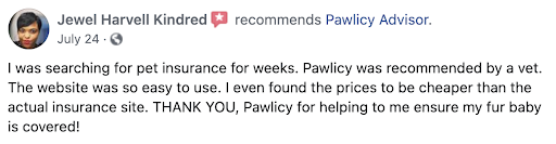Pawlicy review 1