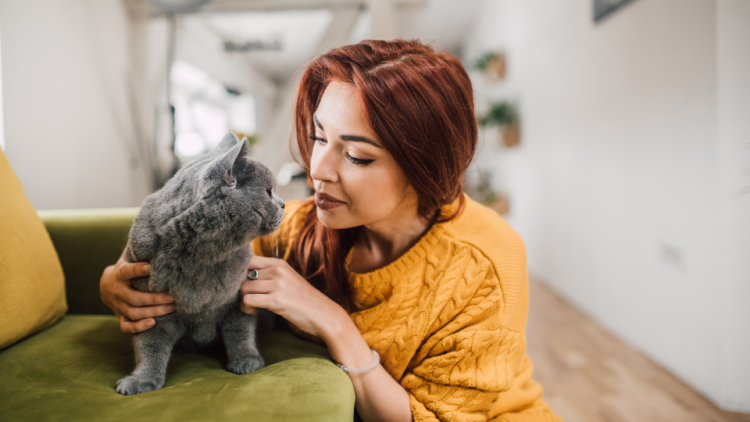 woman petting a cat