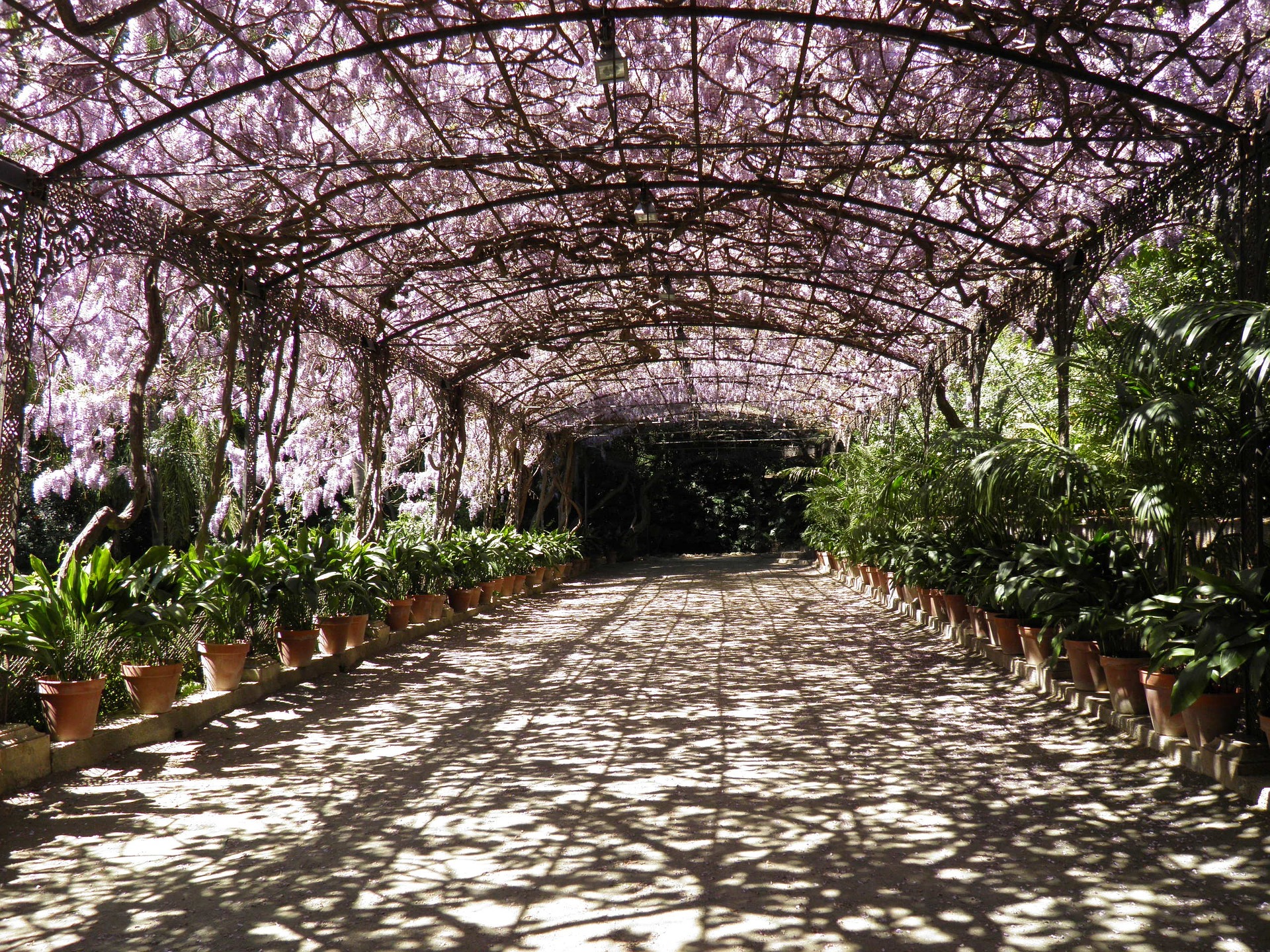 Blog Malaga botanical garden