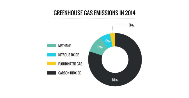greenhouse-emissions-and-carbon-taxes-ba-850-sustainability-driven