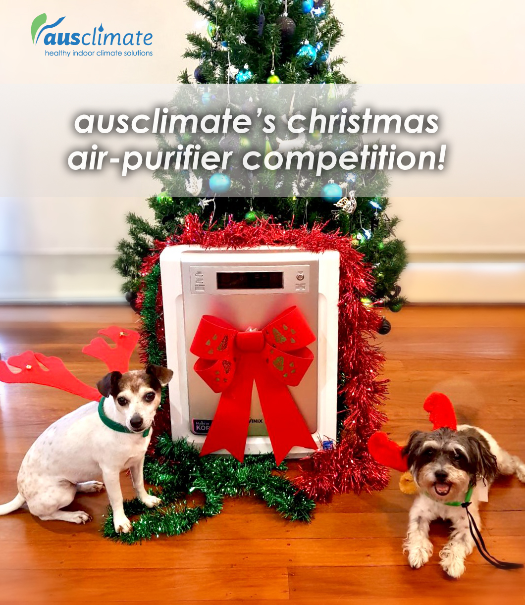 Christmas Air Purifier Competition Announcement