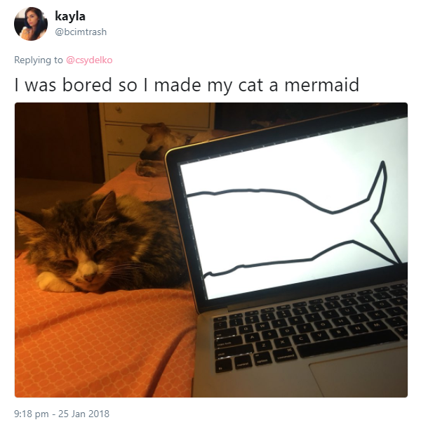 mermaid-cat