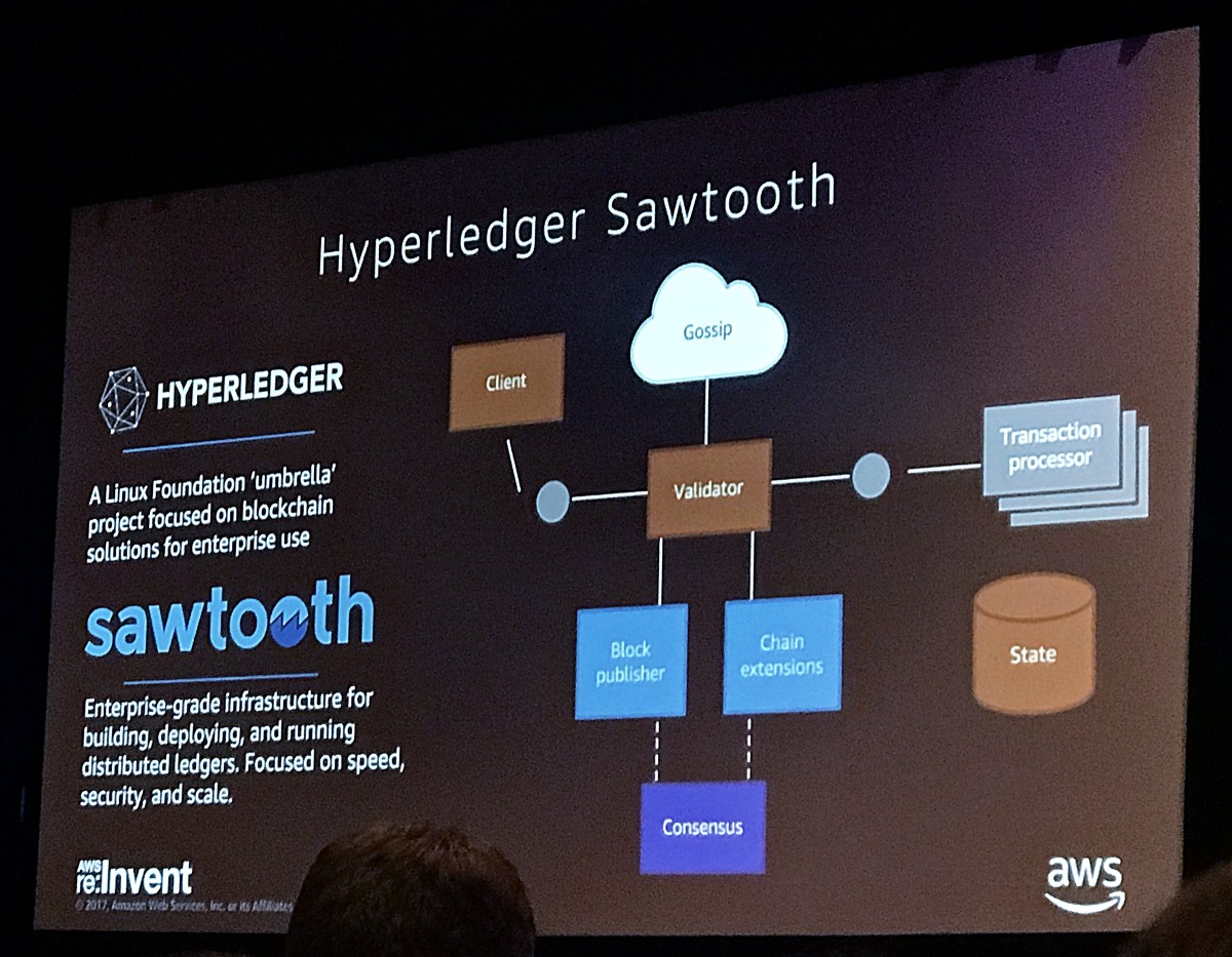 AWS Hyperledger Sawtooth Blockchain