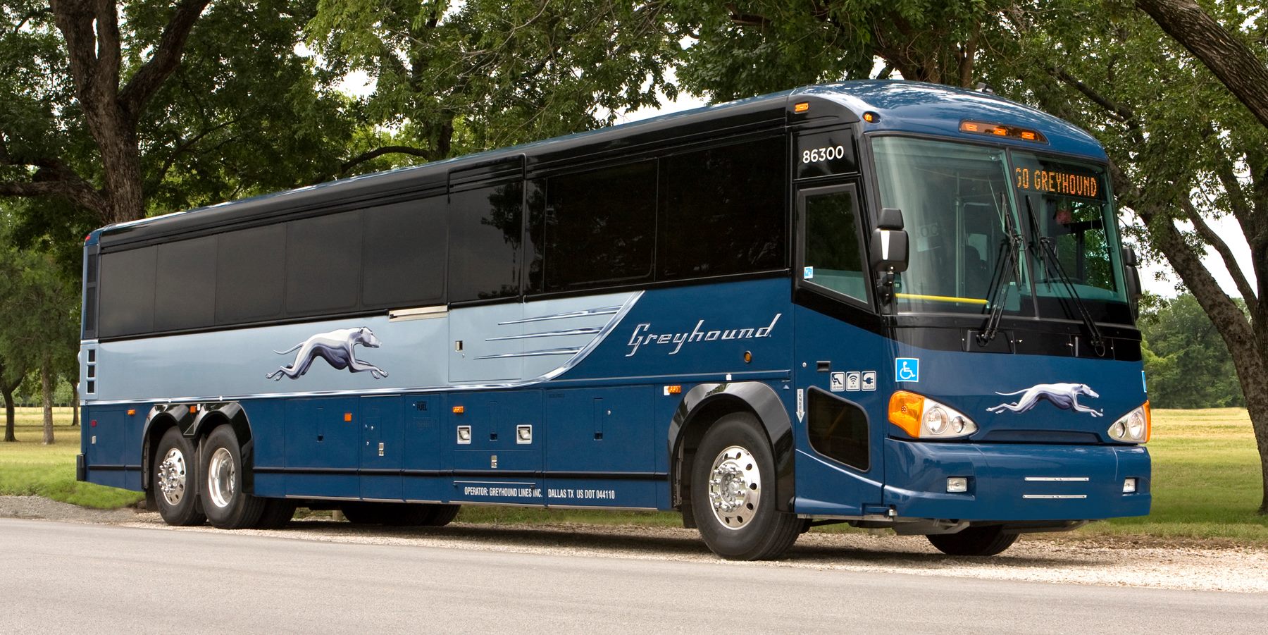 How do you view Greyhound bus schedules?