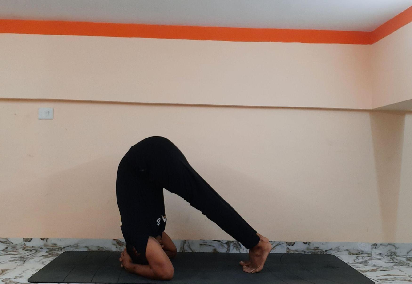 Half headstand pose (Ardha Sirsasana)