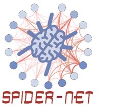 SPIDER NET DEF