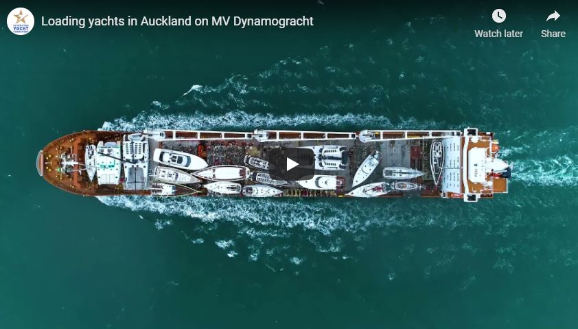 Video Auckland
