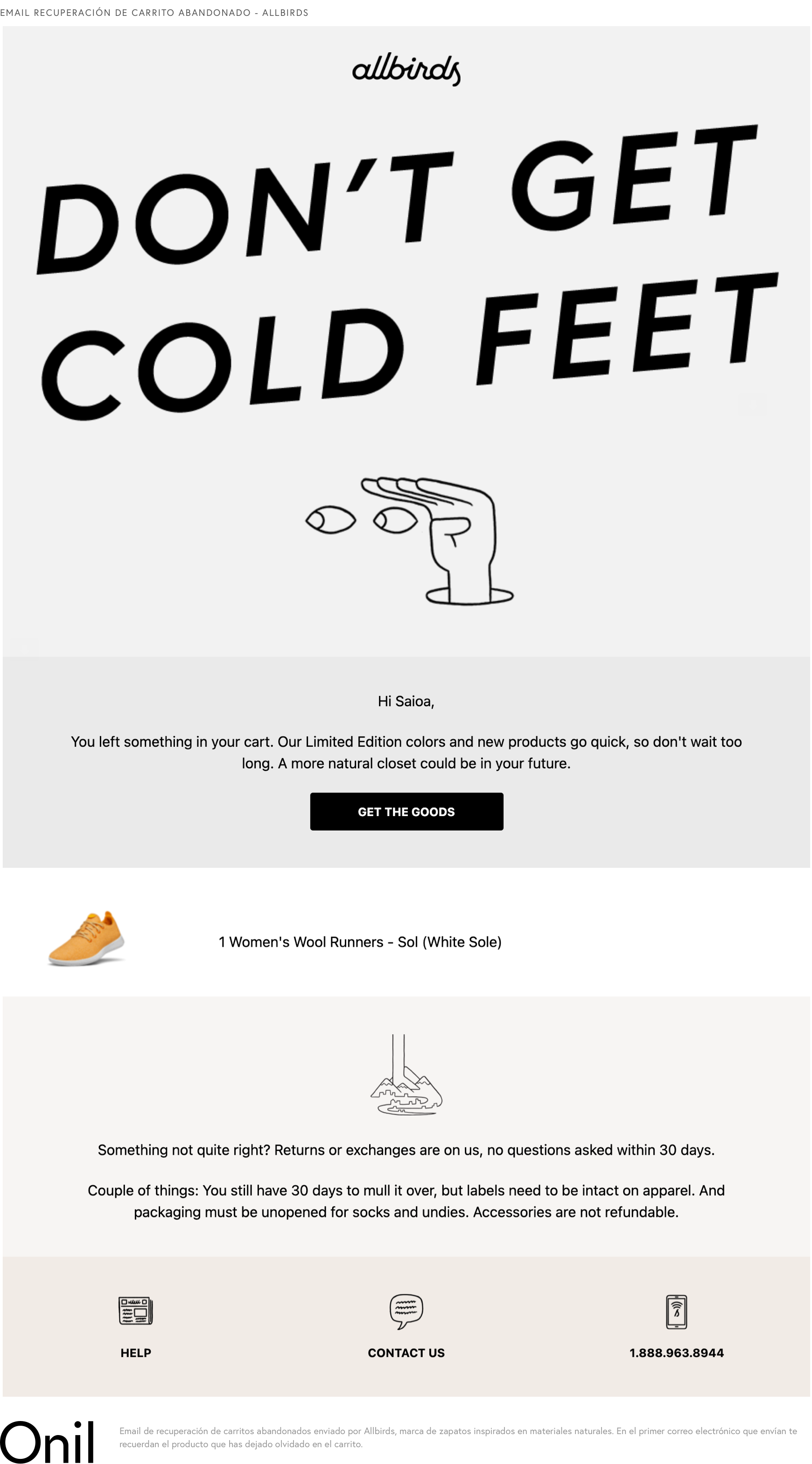 Abandoned Cart Recovery Email - Allbirds