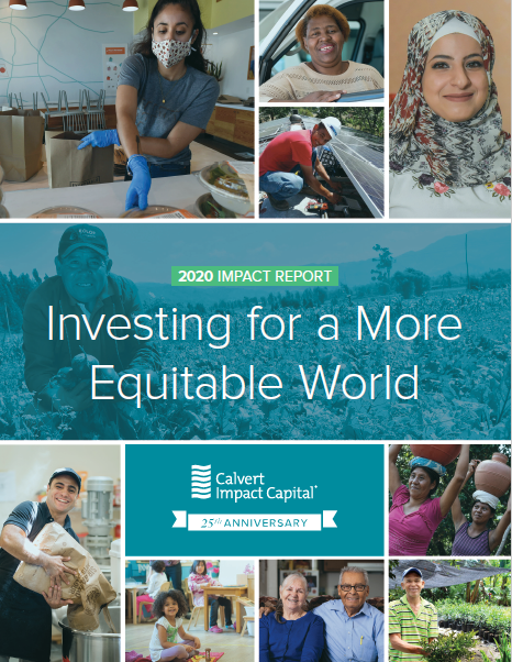 2020 Impact Report Cover Snip