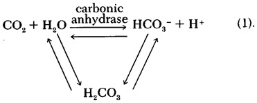 Carb Anhyd equation