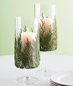 Evergreen Candles