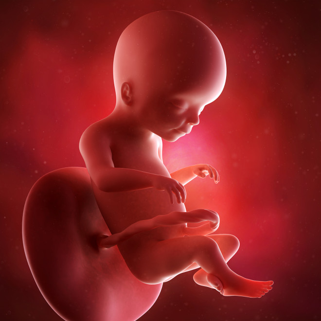 20-weeks-pregnant-ultrasound.jpg