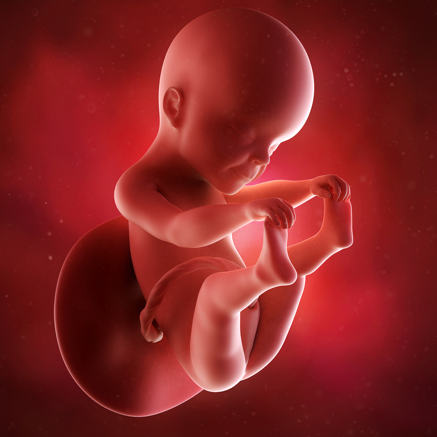 How Developed Is A Baby At 25 Weeks?