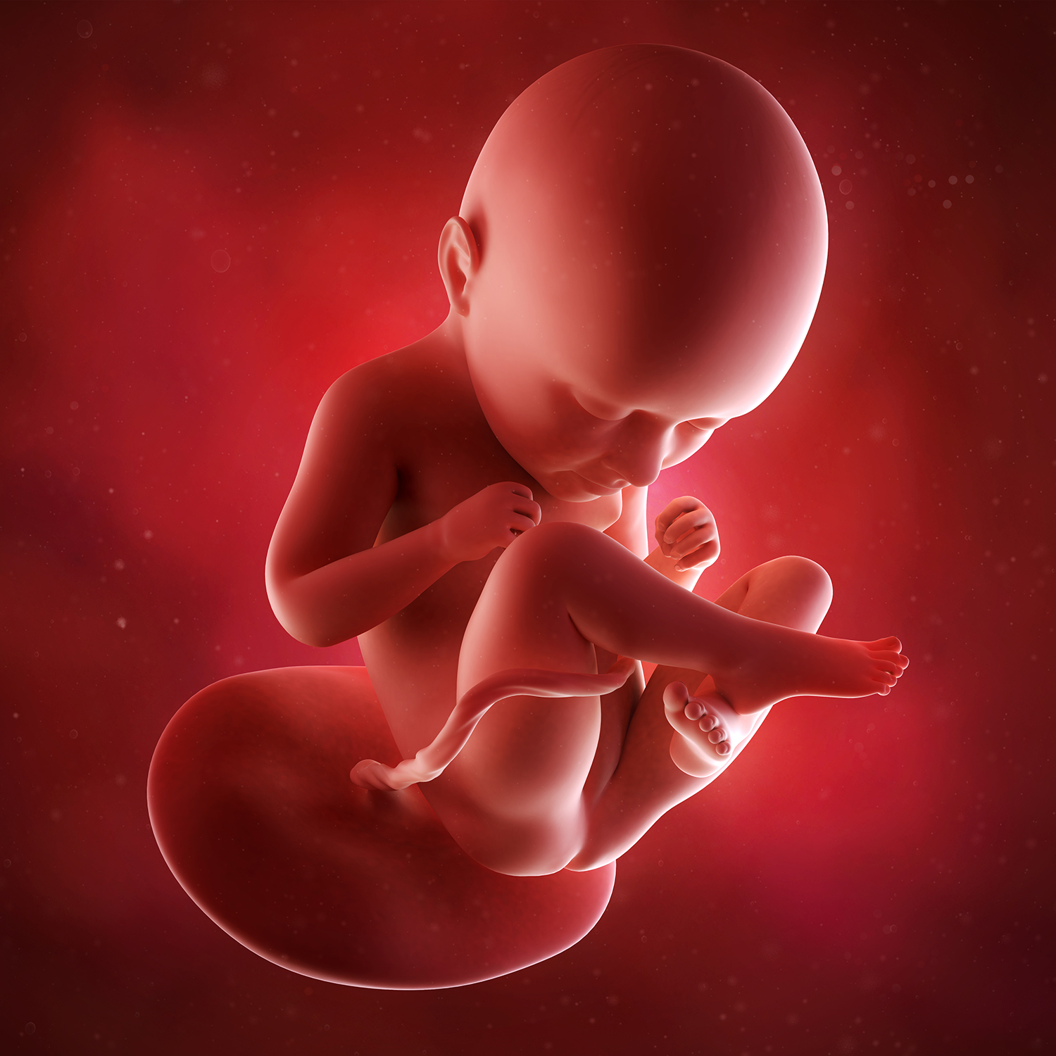 First Ultrasound Pregnant 6