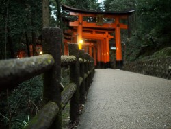 10 - Fushimi Inari- Kioto | ViajeTerrenal.com