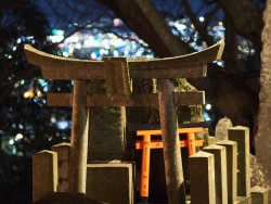 14 - Fushimi Inari- Kioto | ViajeTerrenal.com