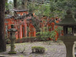 2 - Fushimi Inari - Kioto | ViajeTerrenal.com