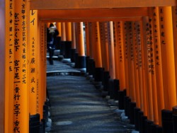 7 - Fushimi Inari- Kioto | ViajeTerrenal.com