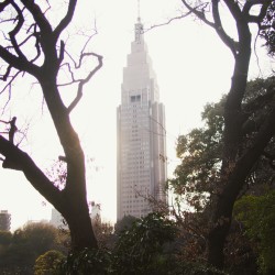 Jardín Nacional Shinjuku Gyoen - Viajeterrenal.com