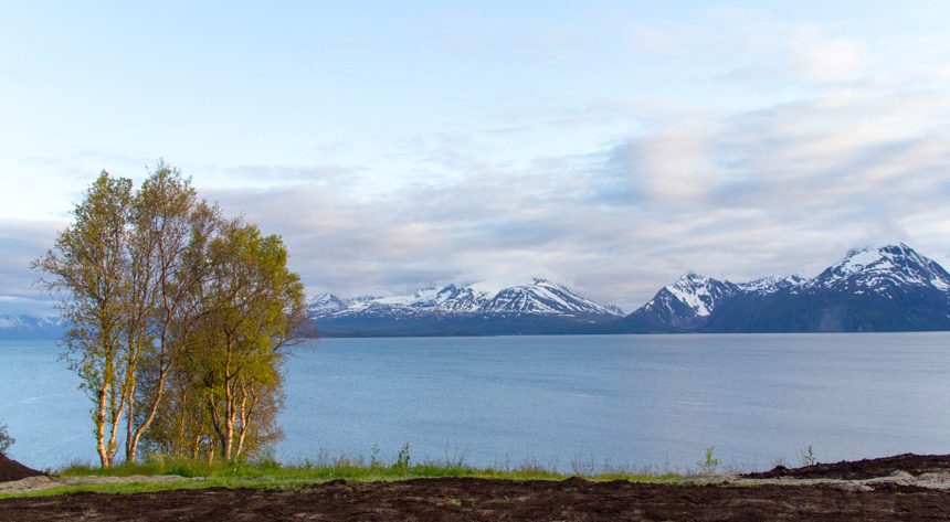 Lyngen Lodge with 50 Degrees North