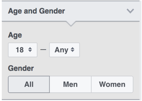 age-and-gender-input
