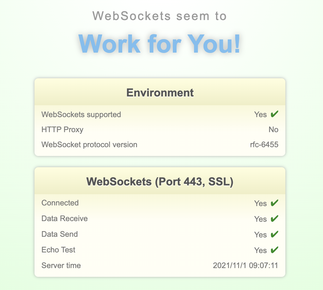 websocket test