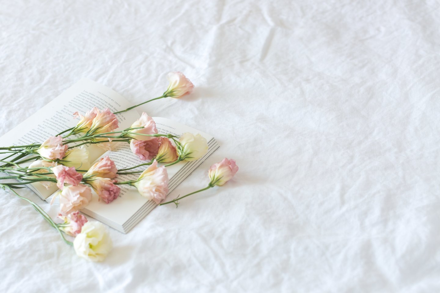 flowers on sheets