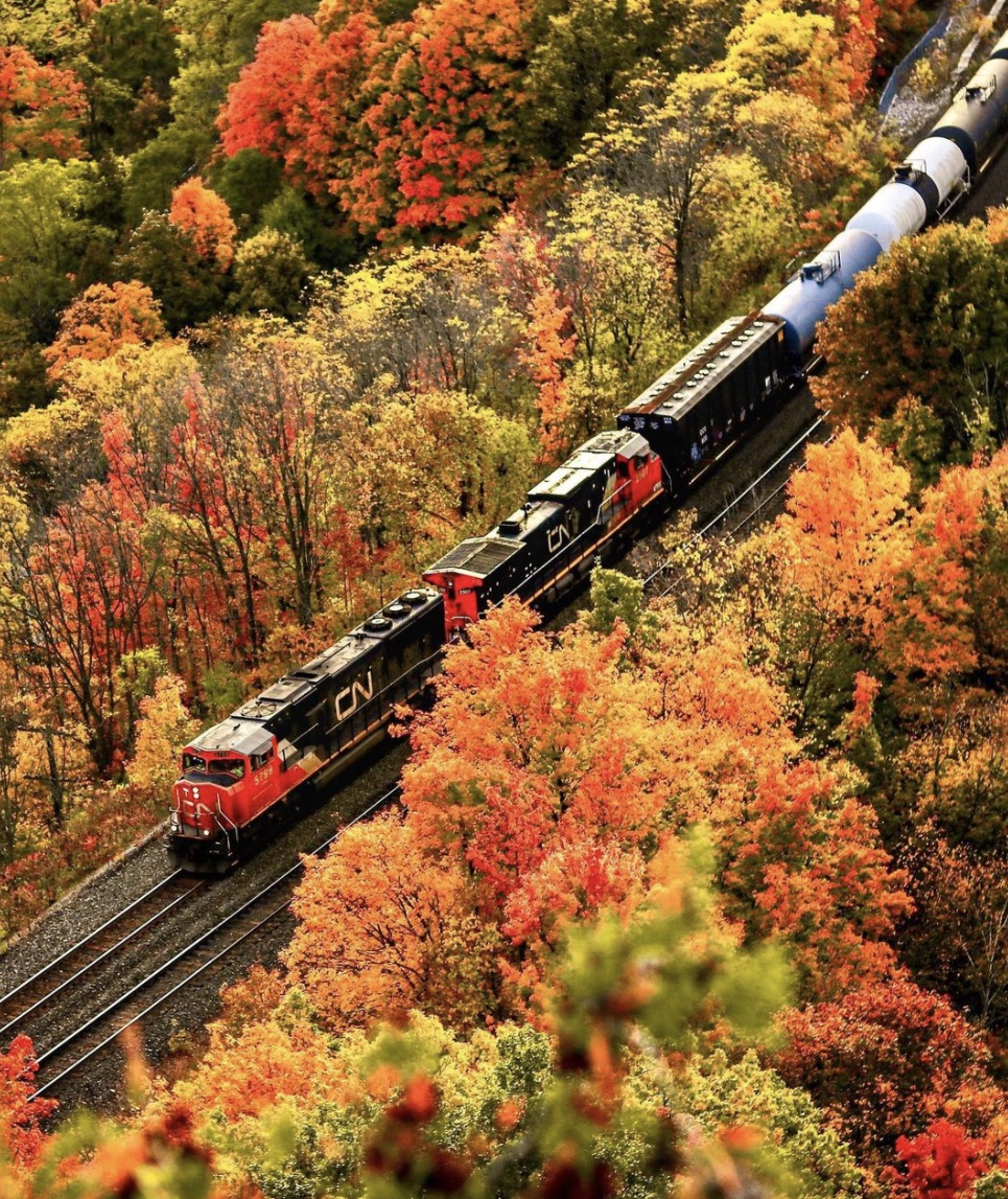 Fall colours/Dundas Peak, Ontario/Instagram