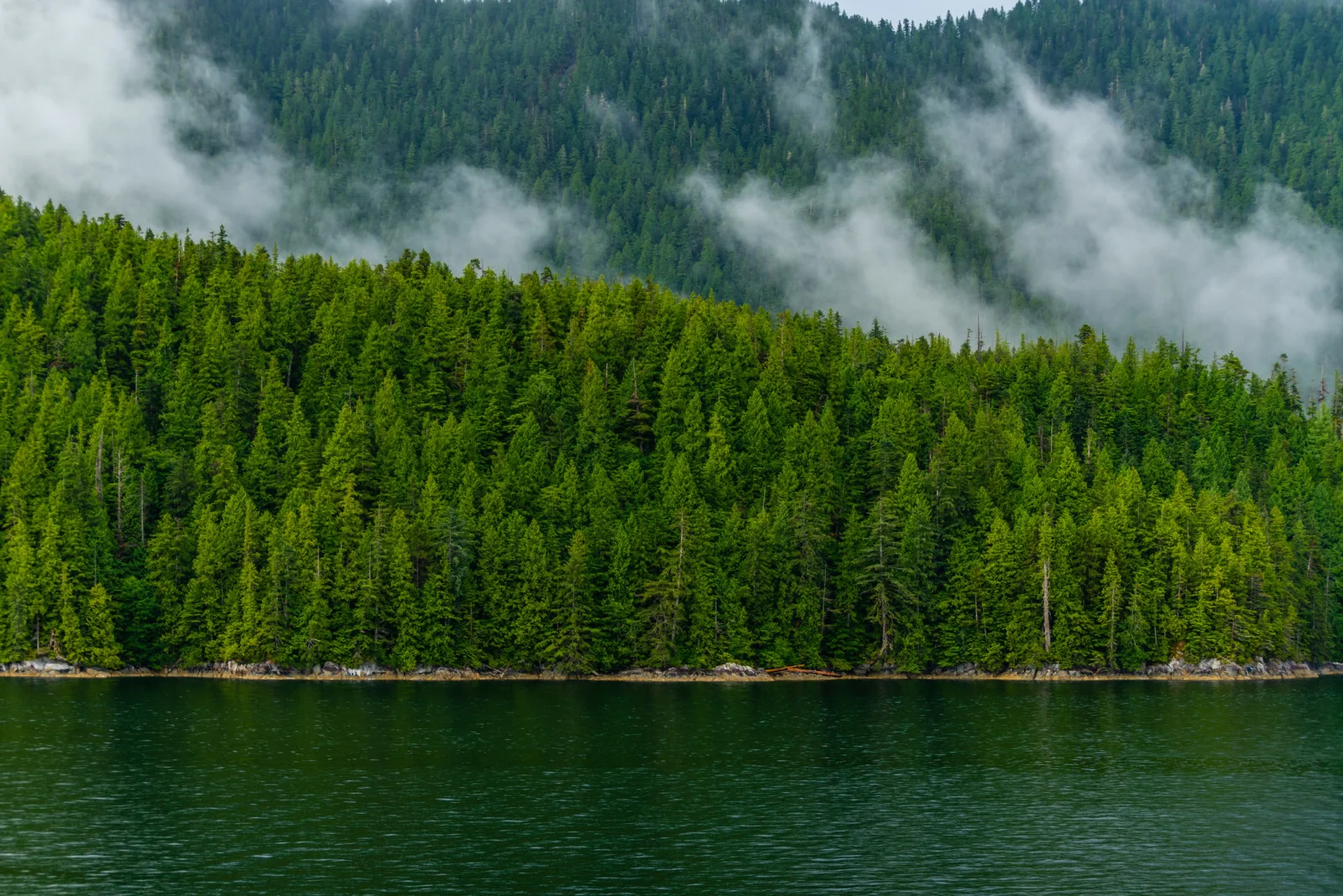 The Inside Passage in British Columbia. Many southern regions of B.C. have some of the highest reservoirs of carbon on the planet. (iStock / Getty Images Plus)