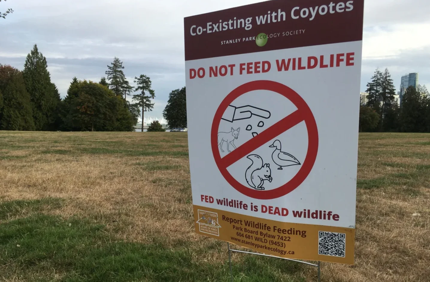 CBC: Don't feed wildlife. A sign near Brockton Oval in Vancouver's Stanley Park advising people not to feed wild animals in the area. (Chad Pawson/CBC News)