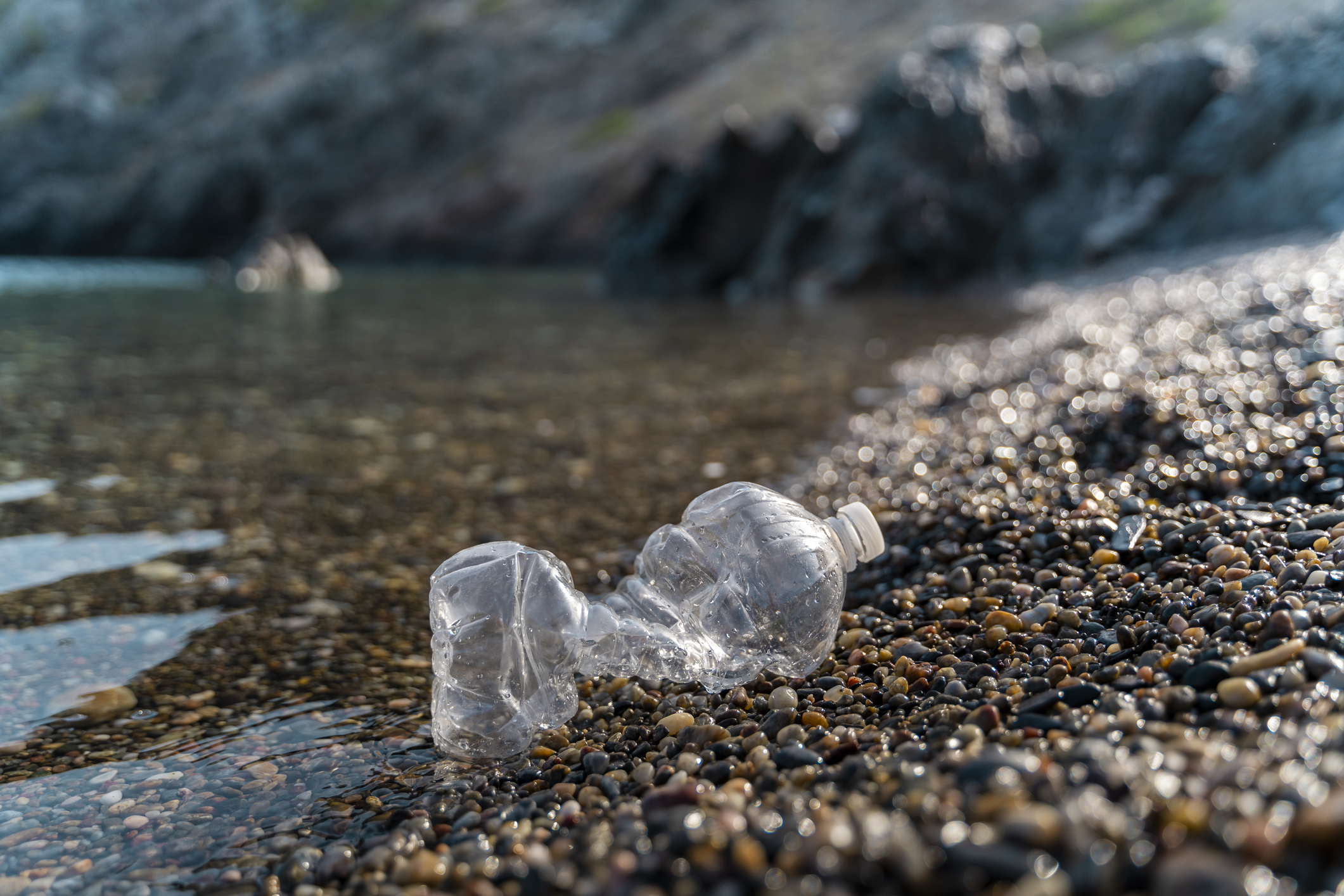 A discarded plastic bottle on a stony beach. (Westend61. Getty Images)