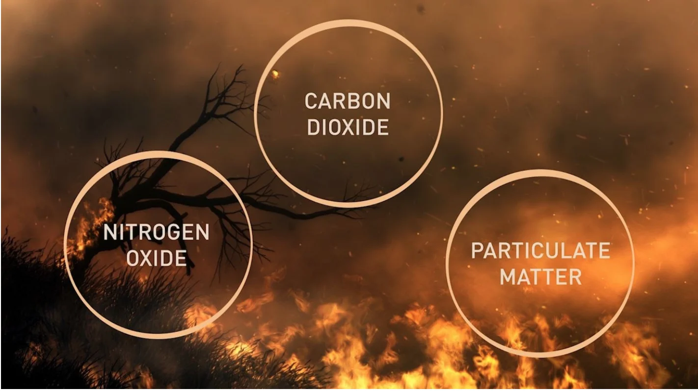 Dangers of wildfires. Graphic