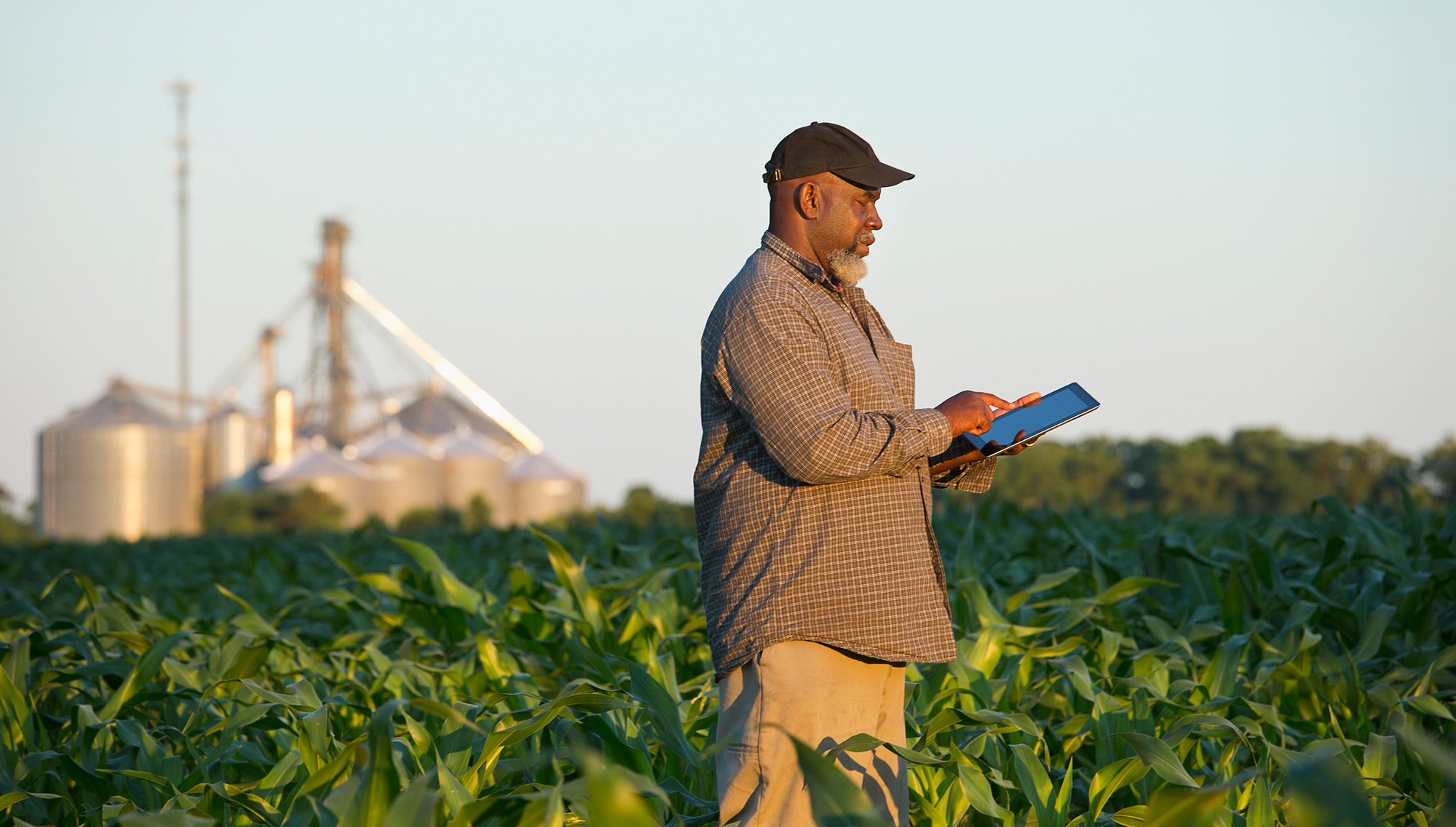 Getty Images: 463245219 Caption: Farmer with digital tablet in crop field. Credit: Ariel Skelley / DigitalVision / Getty Images.