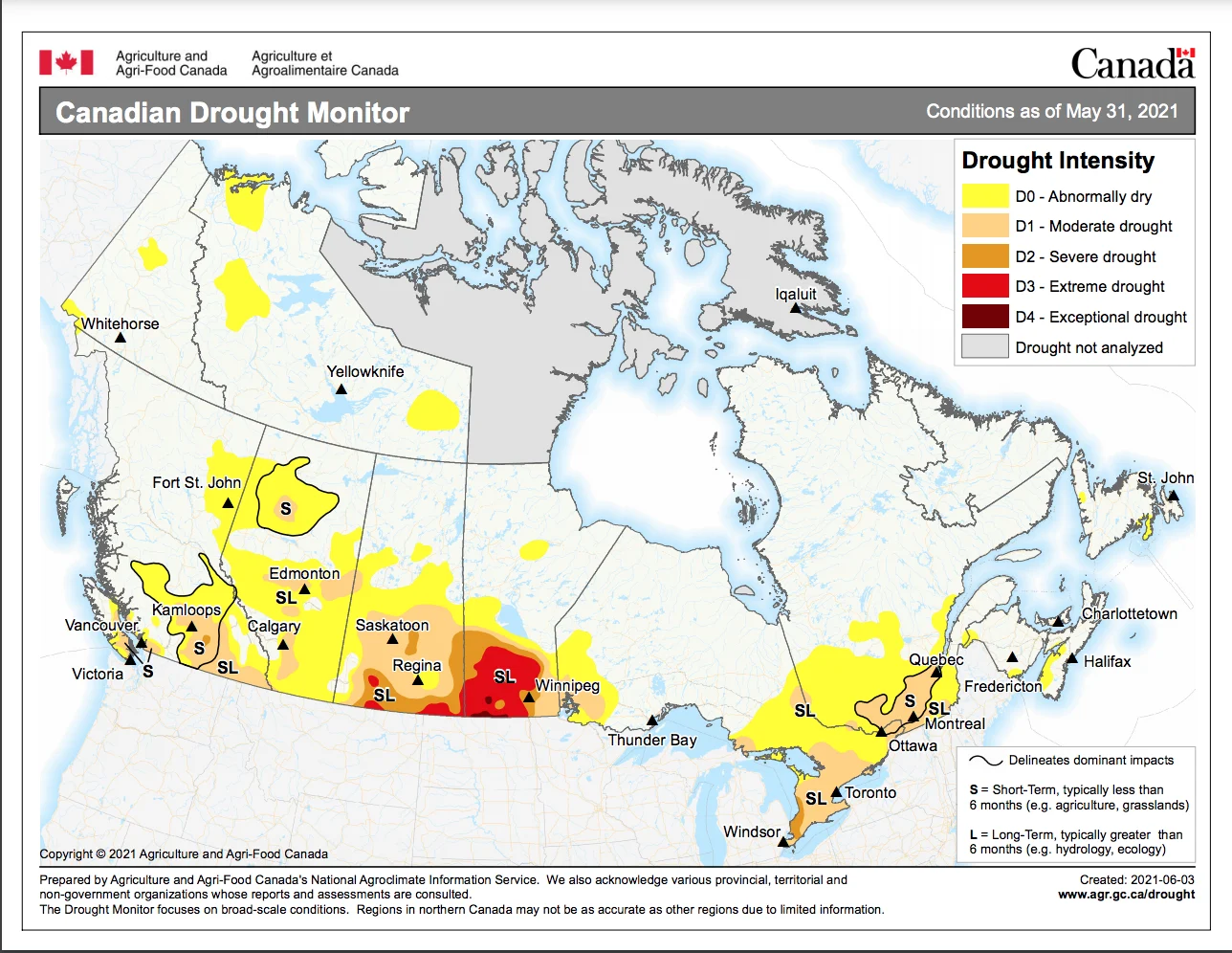 Canadian Drought Monitor: Created: 2021-06-03