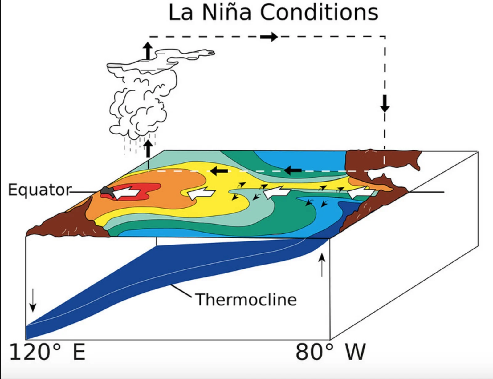 El Nino 2 Credit: NOAA/Wikipedia