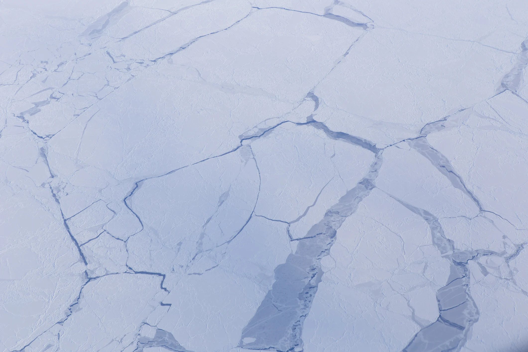 frozen arctic landscape (zxvisual. iStock / Getty Images Plus)