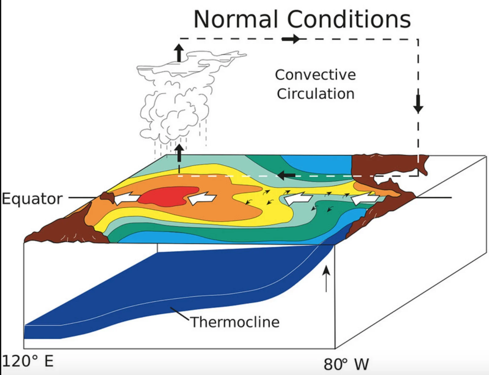 Credit: NOAA/Wikipedia. El Nino