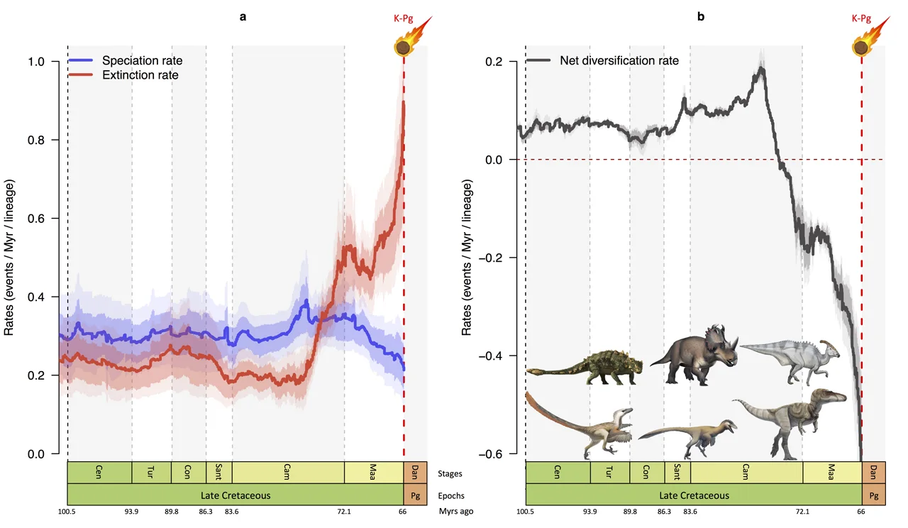Dinosaur decline graphs - Fabien Contamine