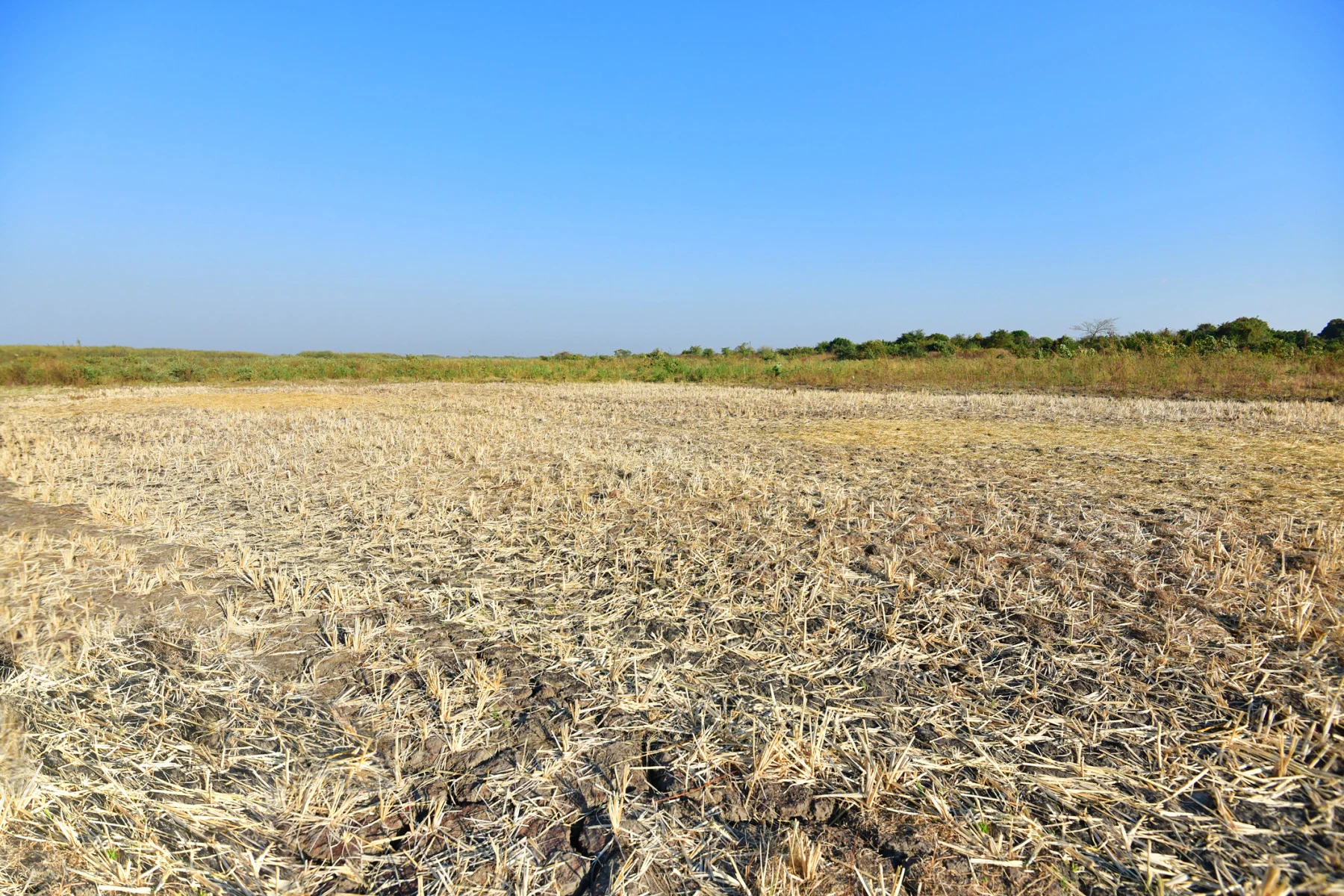 drought in tanzania (Michele D'Amico/ Moment/ Getty Images)