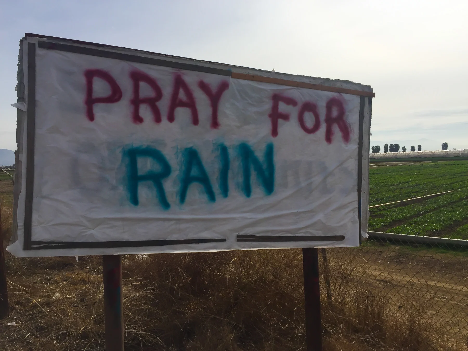 drought pray for rain sign in california (Patricia Marroquin/ Moment/ Getty Images)