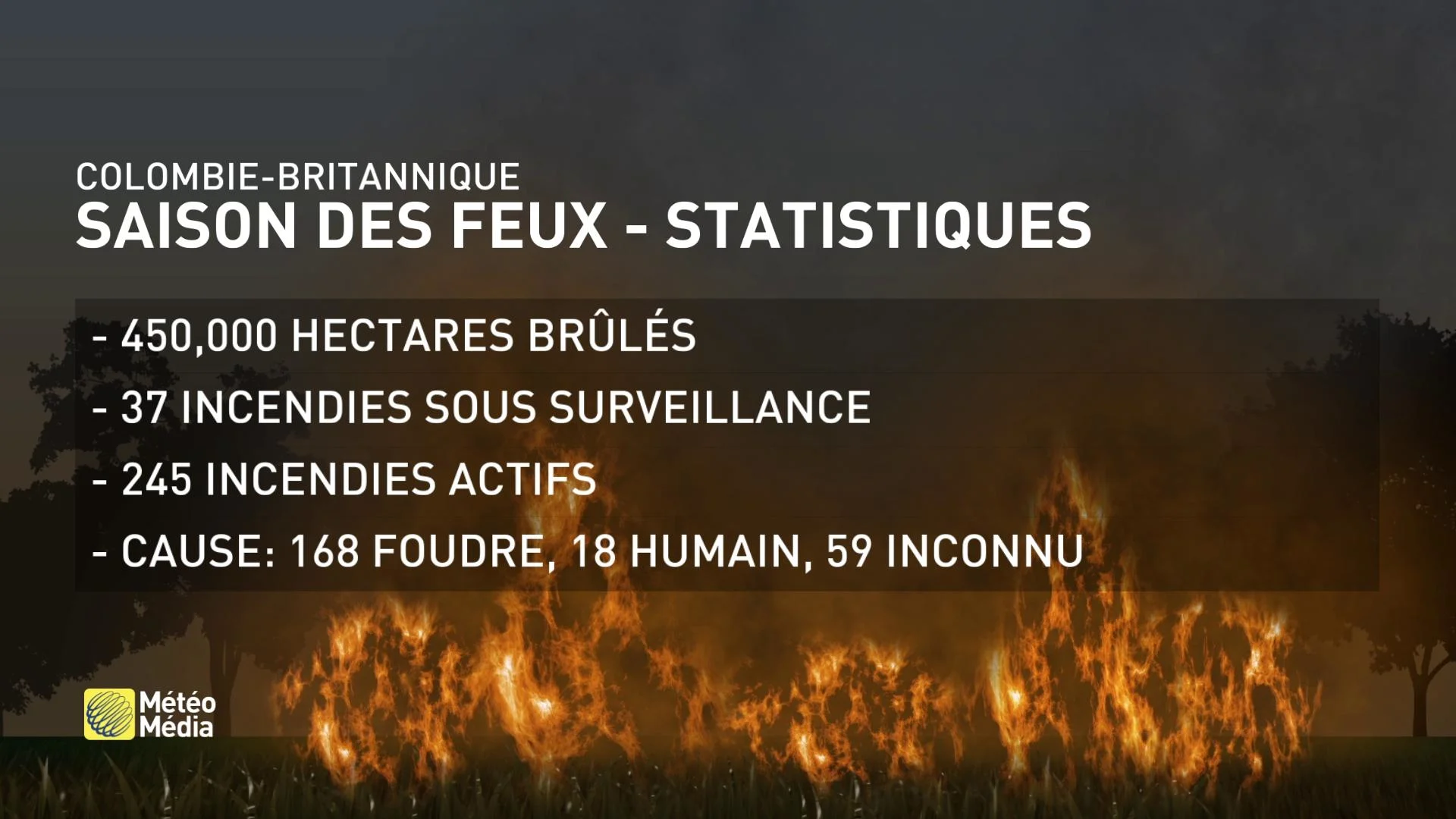 FEUX STATISTIQUES