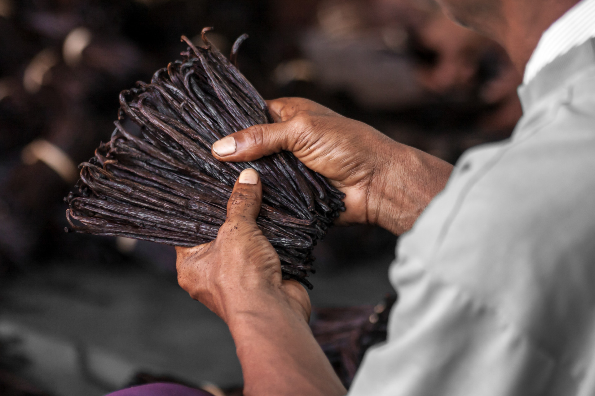 vanilla beans (Pierre-Yves Babelon. Moment. Getty Images)
