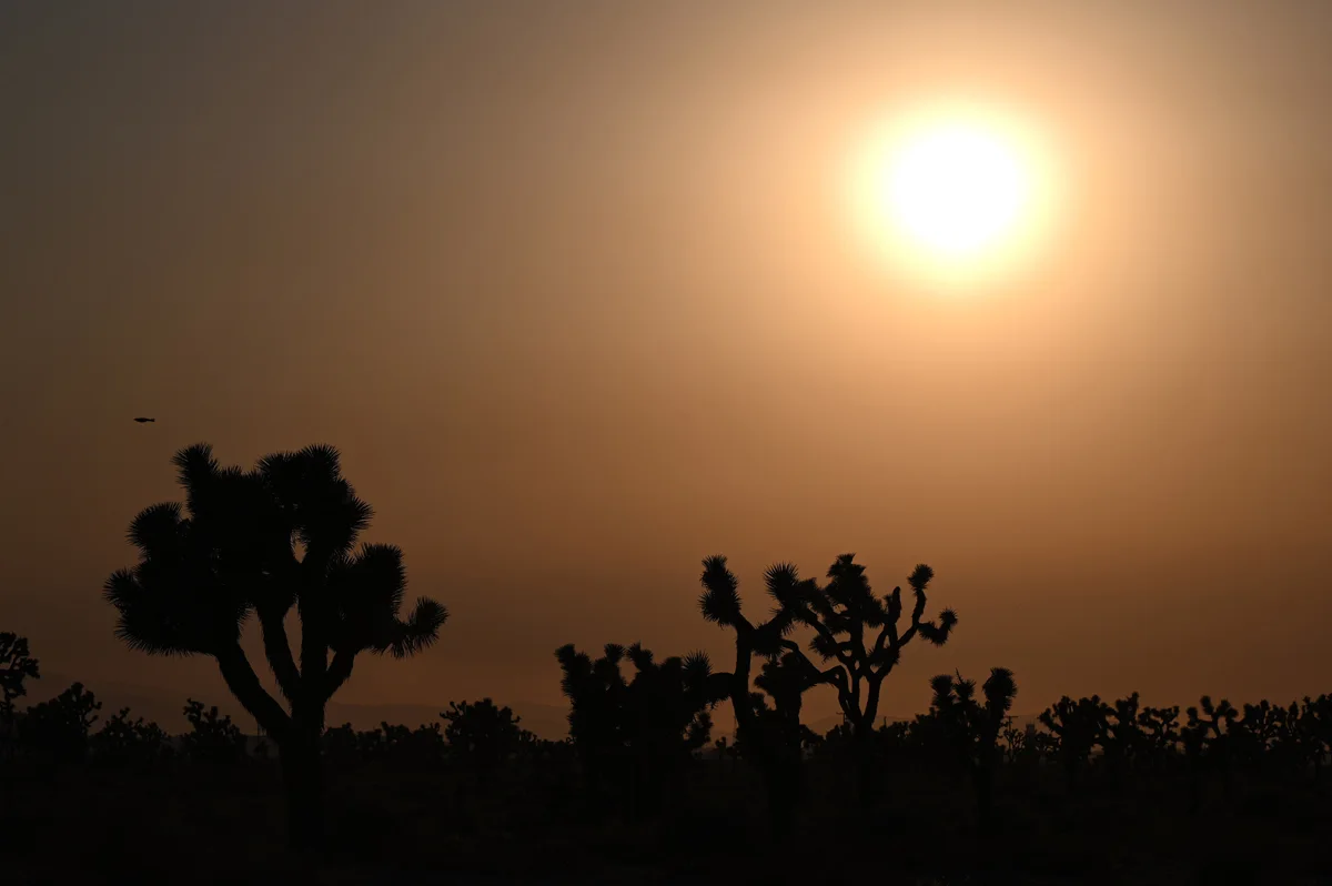 Sunset in intense NW heat wave - ROBYN BECK-AFP via Getty Images - GettyImages-1233951112
