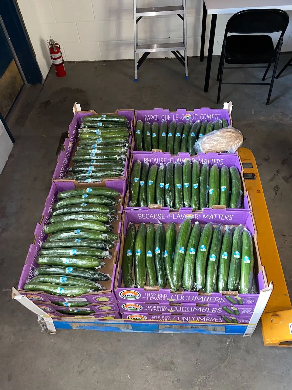 Rescued cucumbers/Anew
